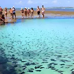 Flat Porto Blue 104 Centro Porto De Galinhas